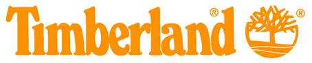 2.5_4 Timberland logo orange